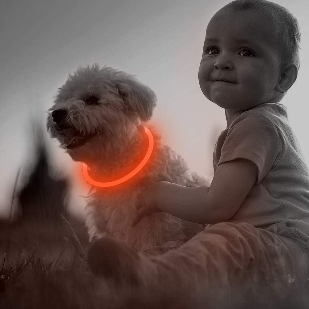 LED Dog Collar, USB Rechargeable Light up Dog Collars, TPU Cuttable Glow Dog Collar Lights for Night Walking (Orange)