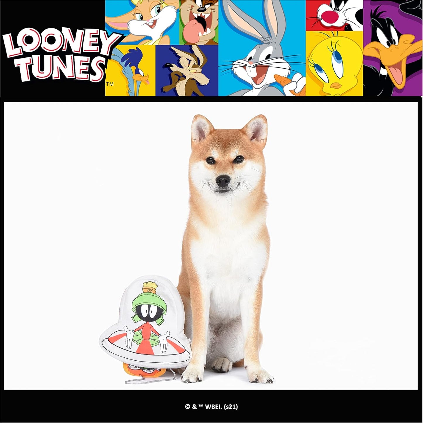 Warner Bros  Marvin the Martian Burrow Dog Toy